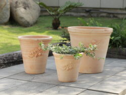 Terracotta
